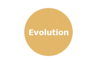 BULLE__Bulle-evolution