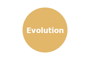BULLE__Bulle-evolution