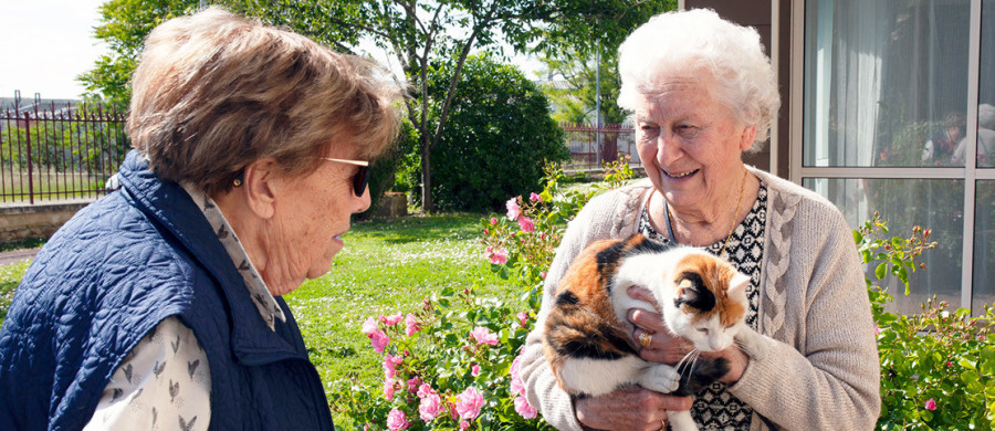Residentiels_Niort_residence-niort-femmes-agees-discussion-chat